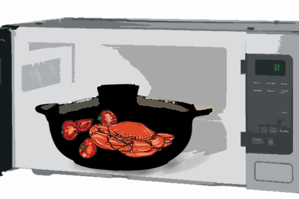 noi dat nodacook su dung voi lo vi song