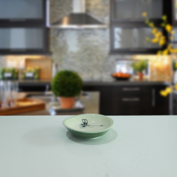 Đĩa muối bé vẽ chuồn Đĩa muối bé vẽ chuồn