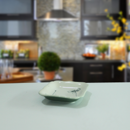 Đĩa muối vuông vẽ chuồn Đĩa muối vuông vẽ chuồn