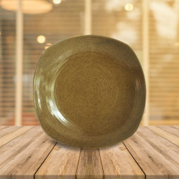 Đĩa ảo đen lòng gốm số 1 Đĩa ảo đen lòng gốm số 1