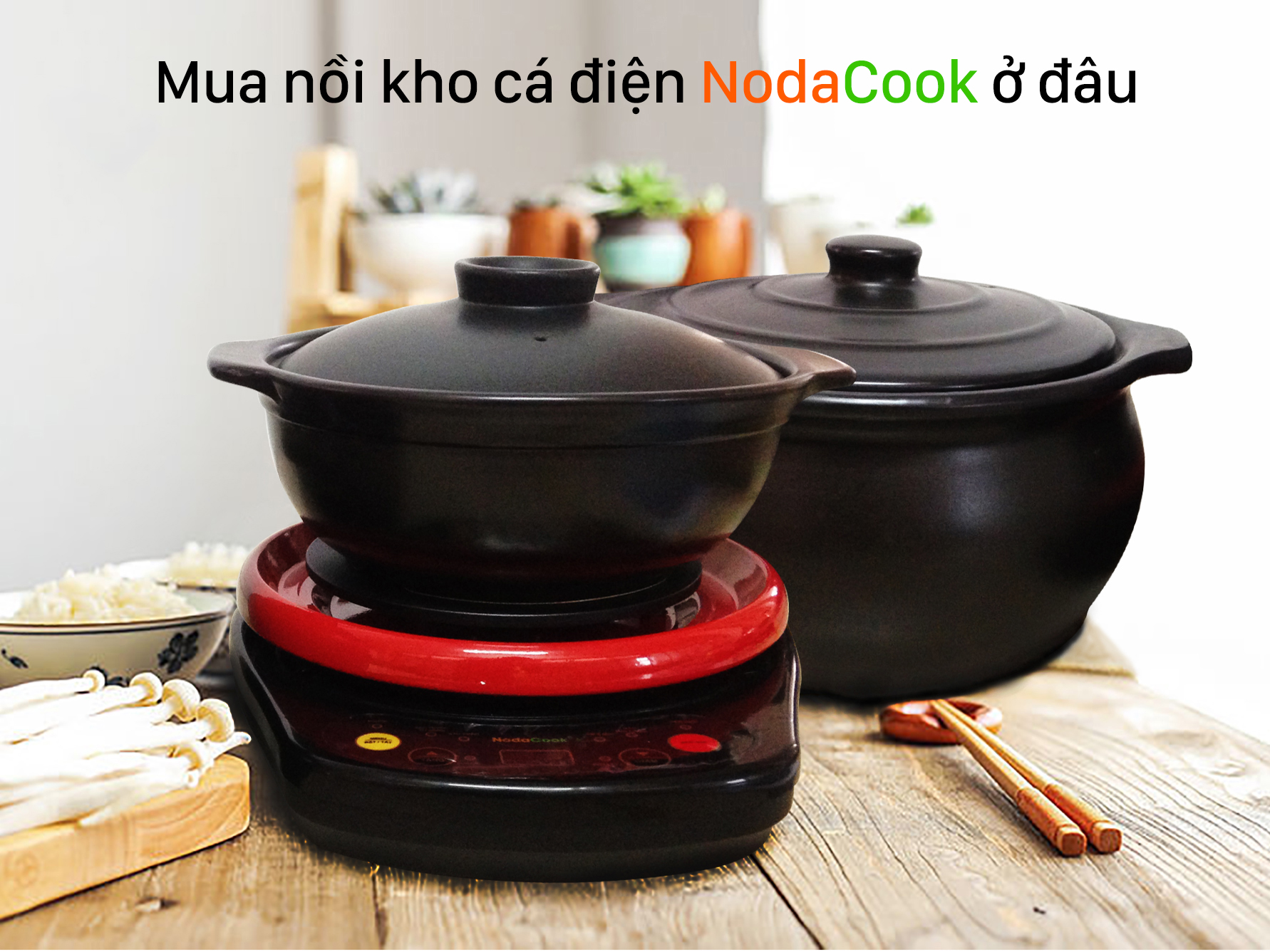mua noi kho ca dien Noda o dau
