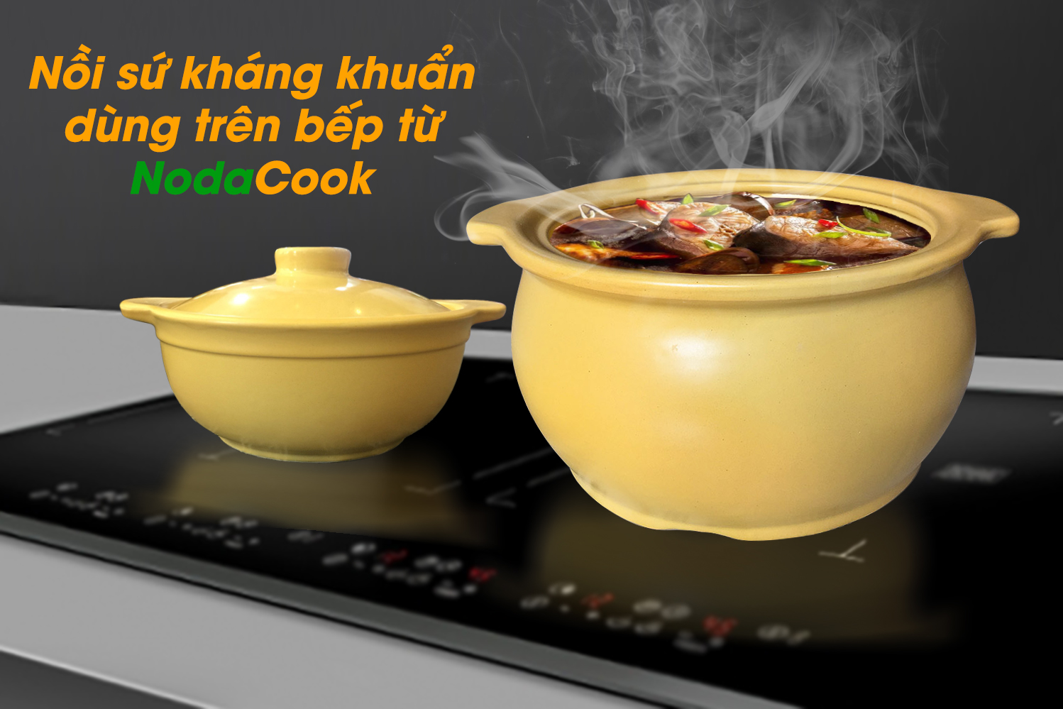 nồi sứ kháng khuẩn